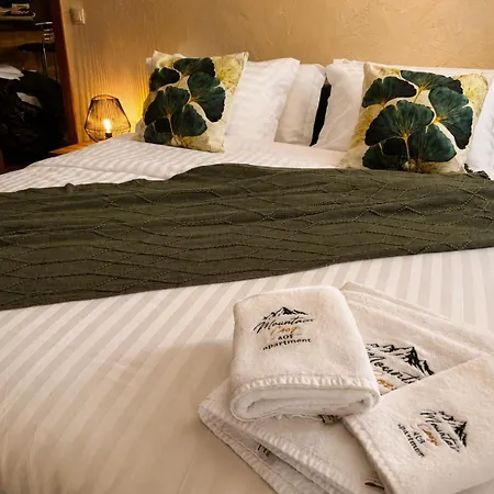 Mountain Cozy 408 Lejlighed *