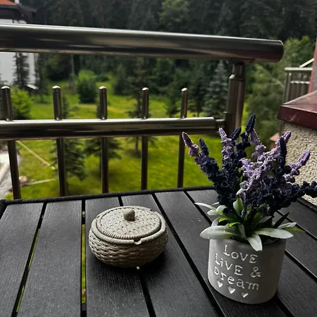 Mountain Cozy 408 Lejlighed *
